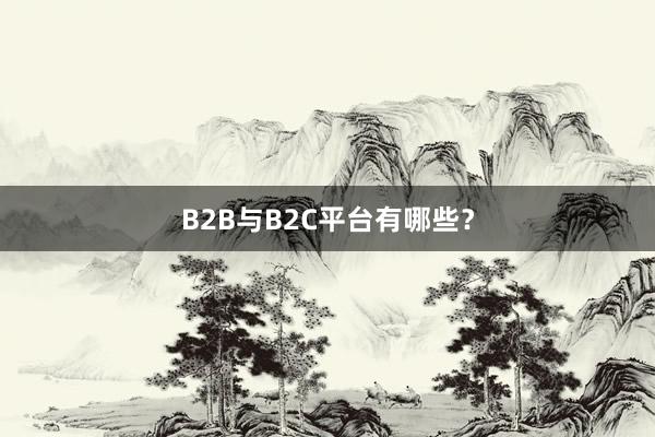B2B与B2C平台有哪些？