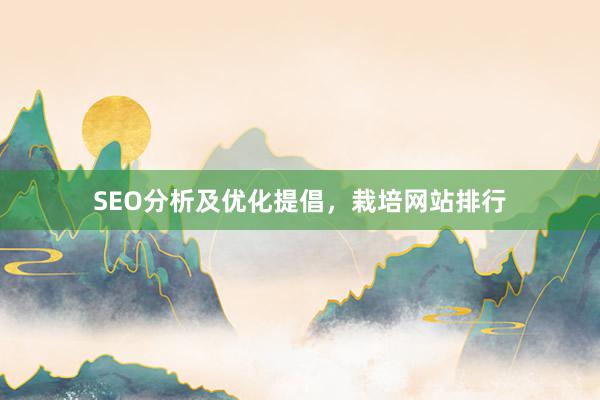 SEO分析及优化提倡，栽培网站排行